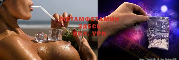ГАЛЛЮЦИНОГЕННЫЕ ГРИБЫ Белокуриха