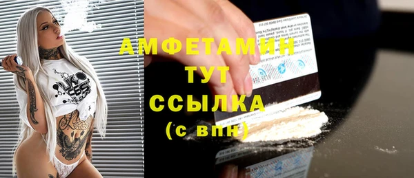 ГАЛЛЮЦИНОГЕННЫЕ ГРИБЫ Белокуриха